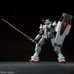 HG Requiem for Vengeance 1/144 #255 Gundam EX