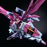 Angry Bird Regen Type R Model Kit