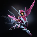 Angry Bird Regen Type R Model Kit