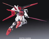 RG 1/144 Aile Strike Gundam [ Damage Box ]