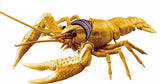 Biology Edition Crayfish (Gold)